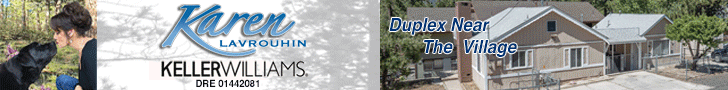 728x90 Banner Ad